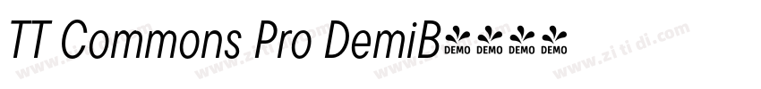 TT Commons Pro DemiB字体转换